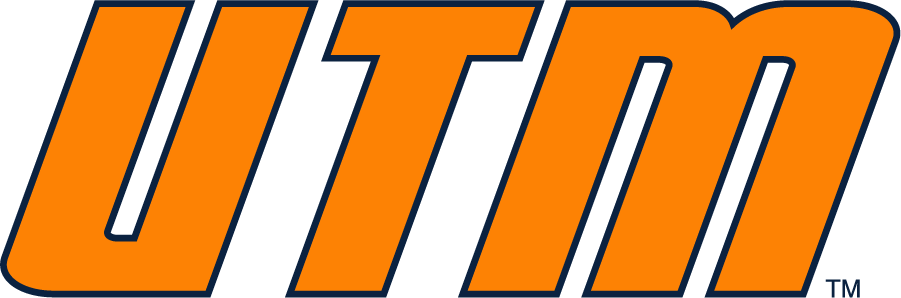 Tennessee-Martin Skyhawks 2007-2020 Wordmark Logo v2 iron on transfers for T-shirts